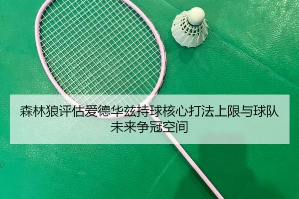 森林狼评估爱德华兹持球核心打法上限与球队未来争冠空间
