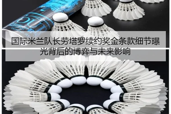 国际米兰队长劳塔罗续约奖金条款细节曝光背后的博弈与未来影响